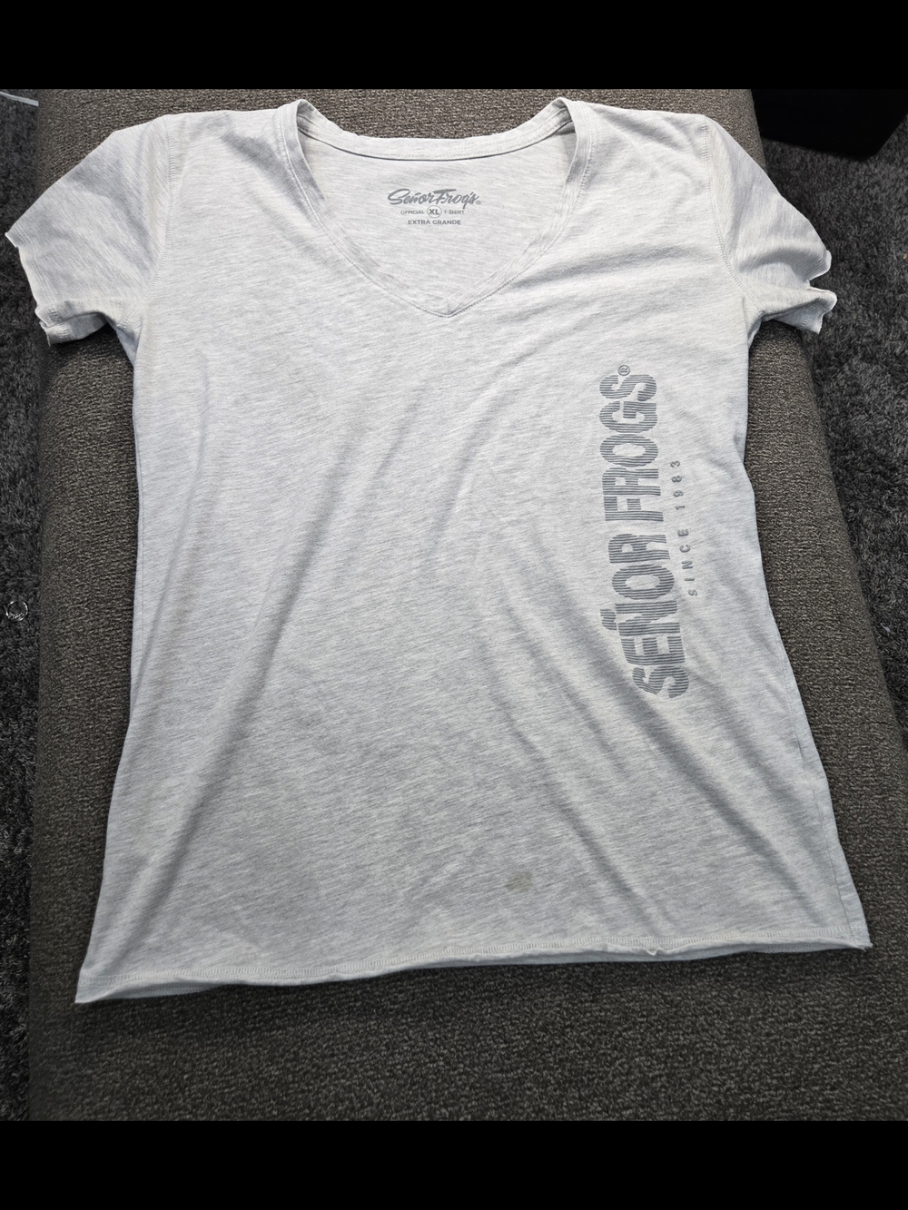 Senior Frogs Women's Light Gray V-Neck Tee